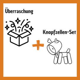 Knopfzellen-Set + Überraschung